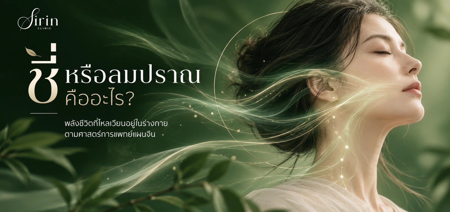 ชี่ หรือ ลมปราณ คือ อะไร What’s Qi ?